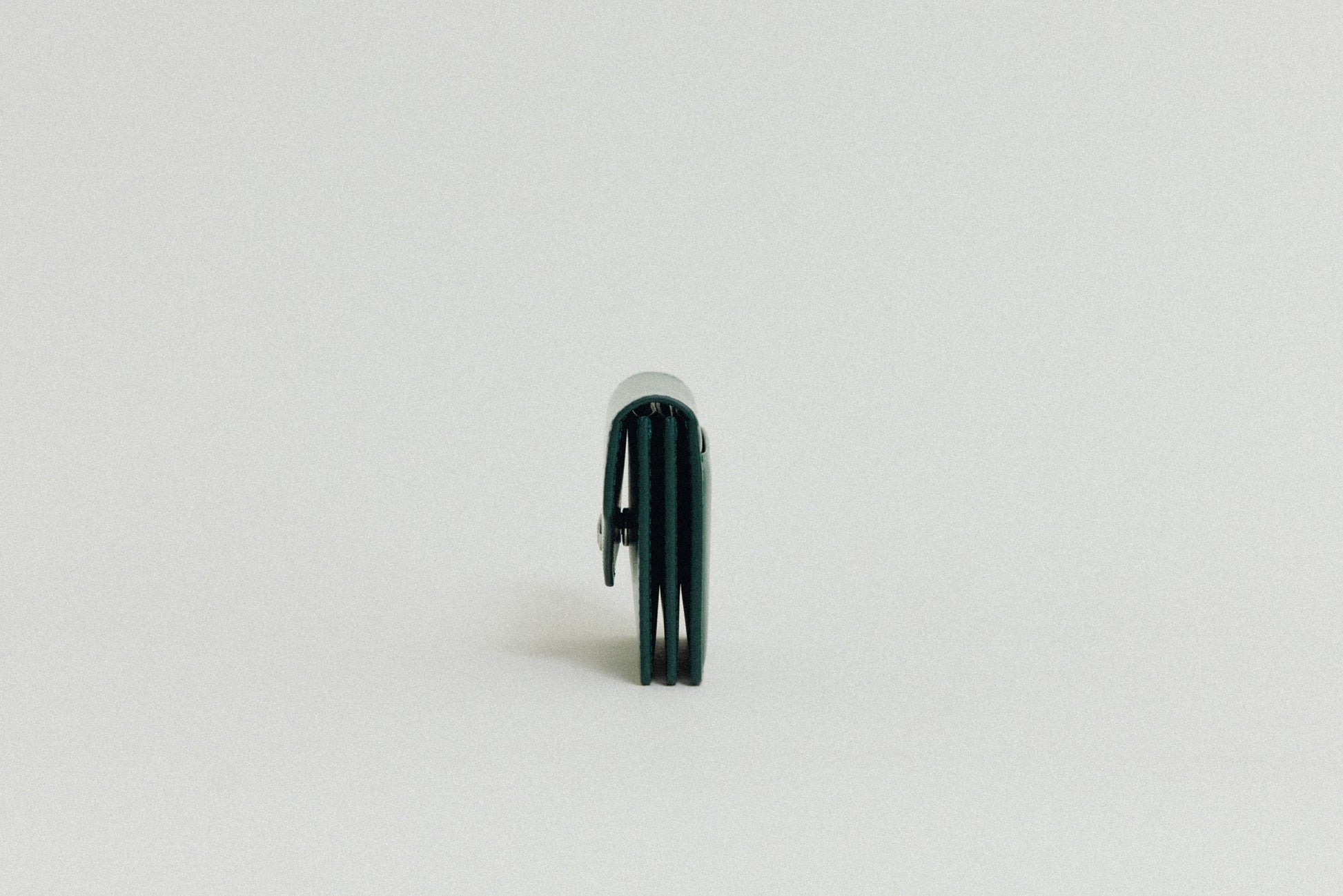 PORTE CARTES SNAP GREEN