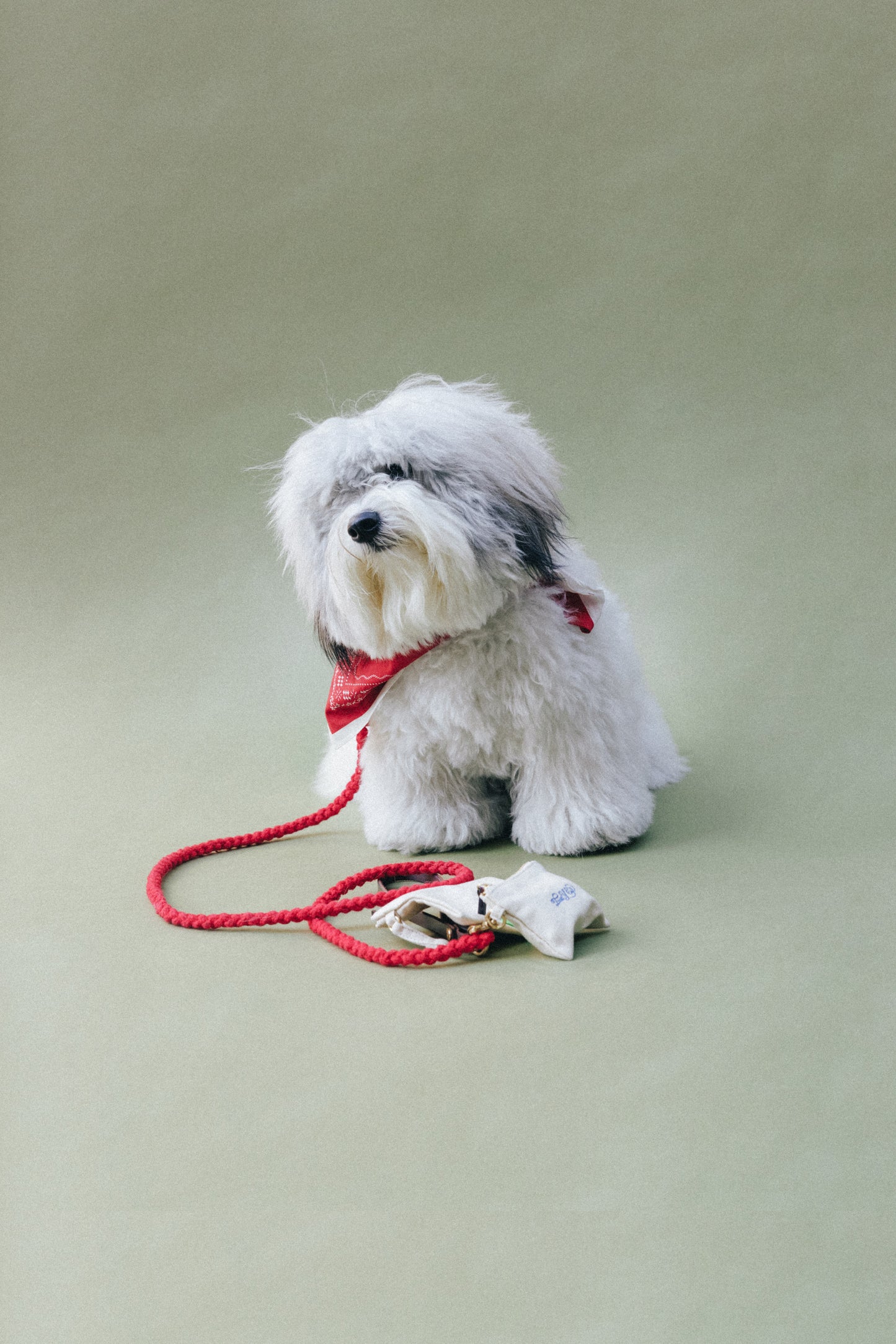 COMPAGNON LEASH RED