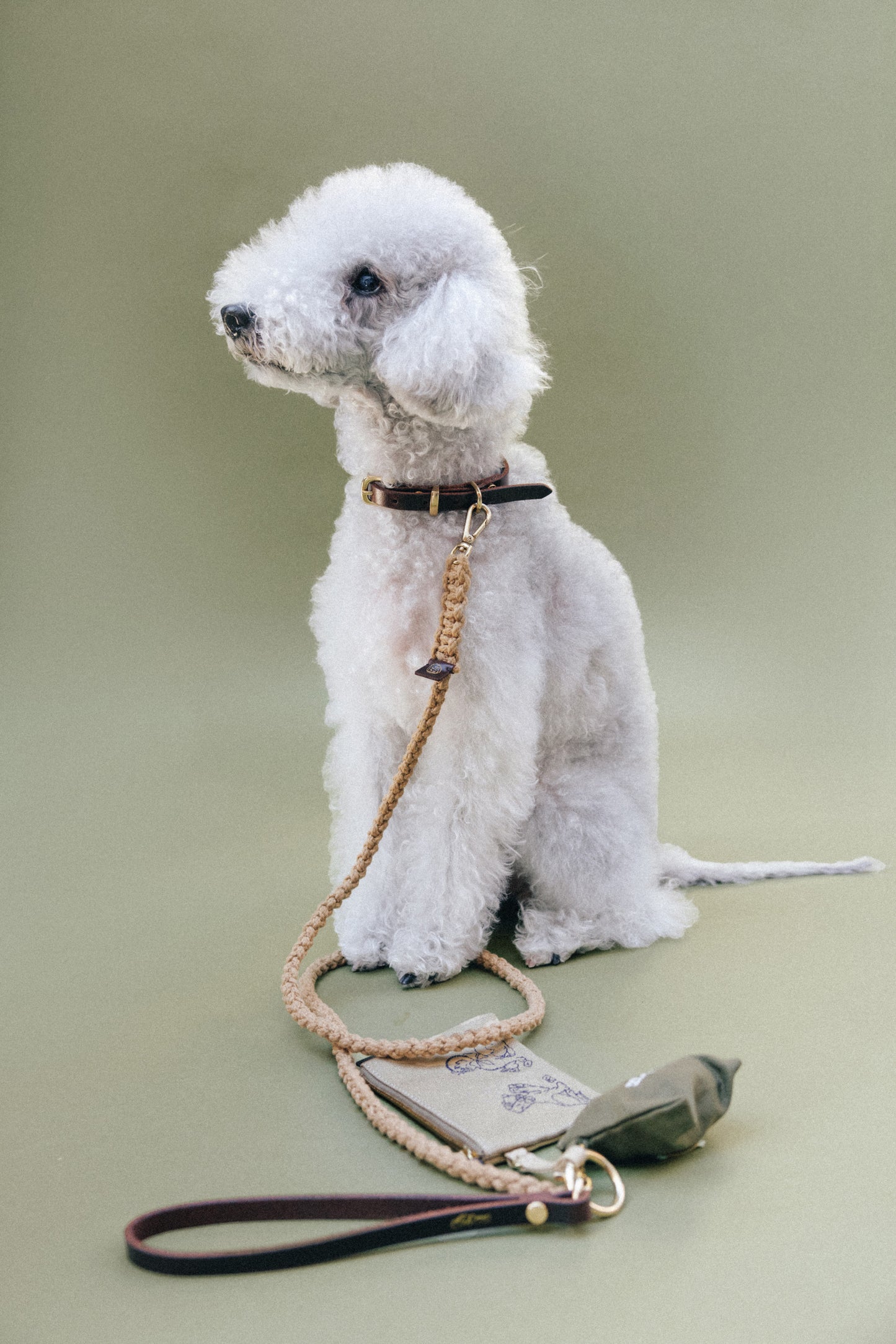 COMPAGNON LEASH BEIGE