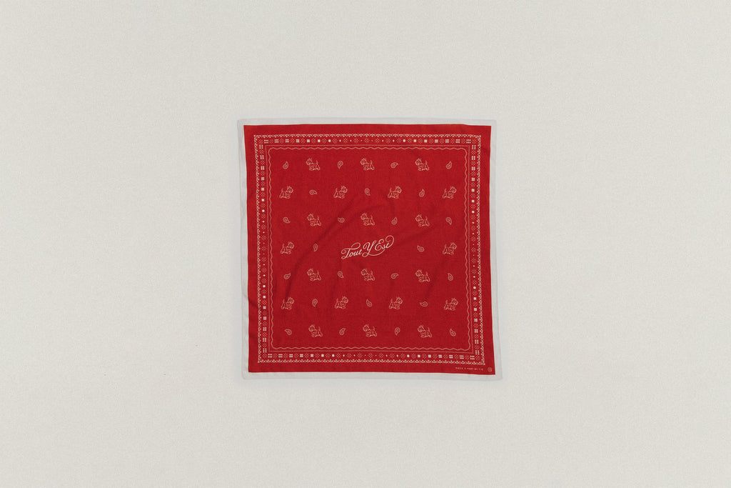 COMPAGNON BANDANA RED