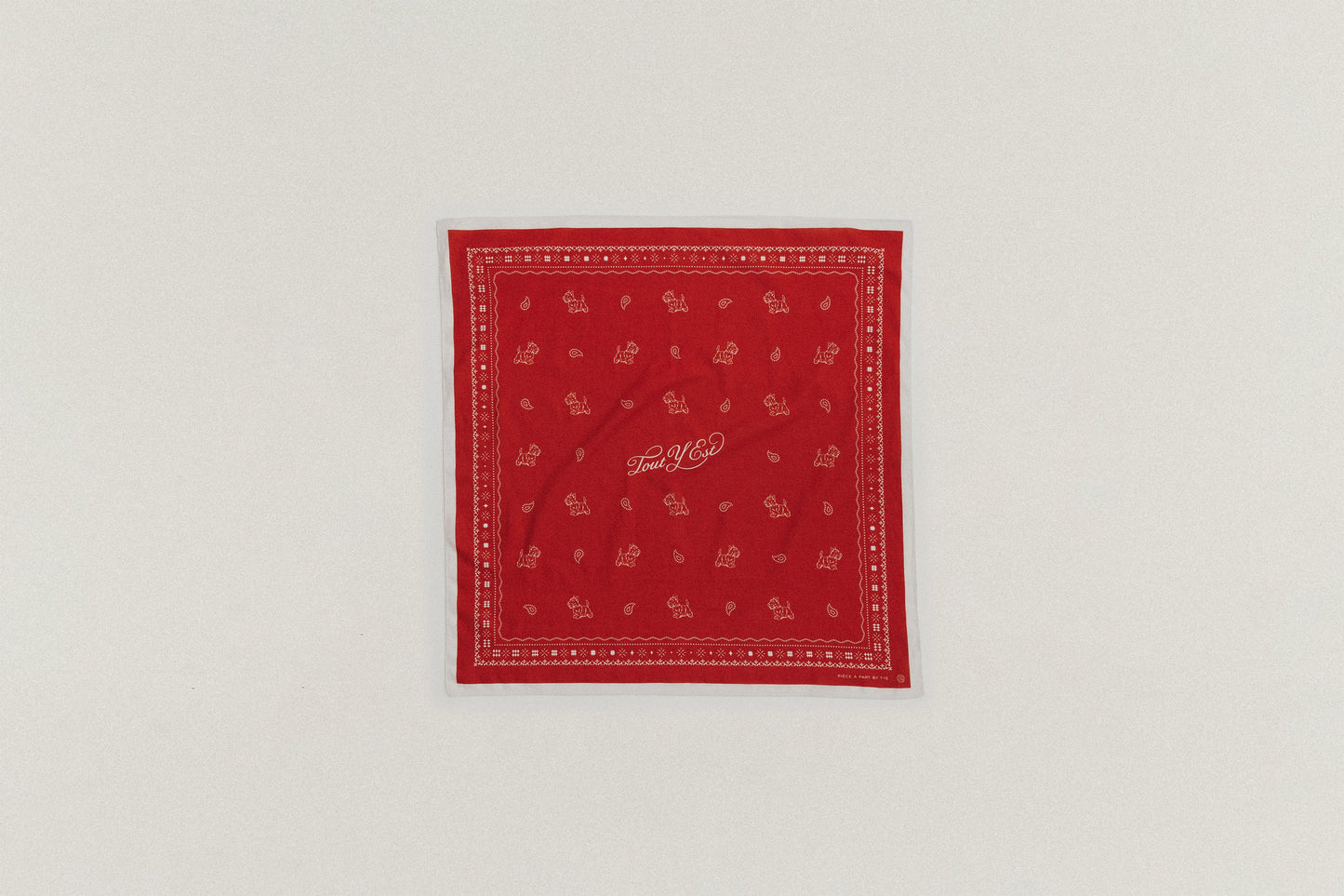 COMPAGNON BANDANA RED